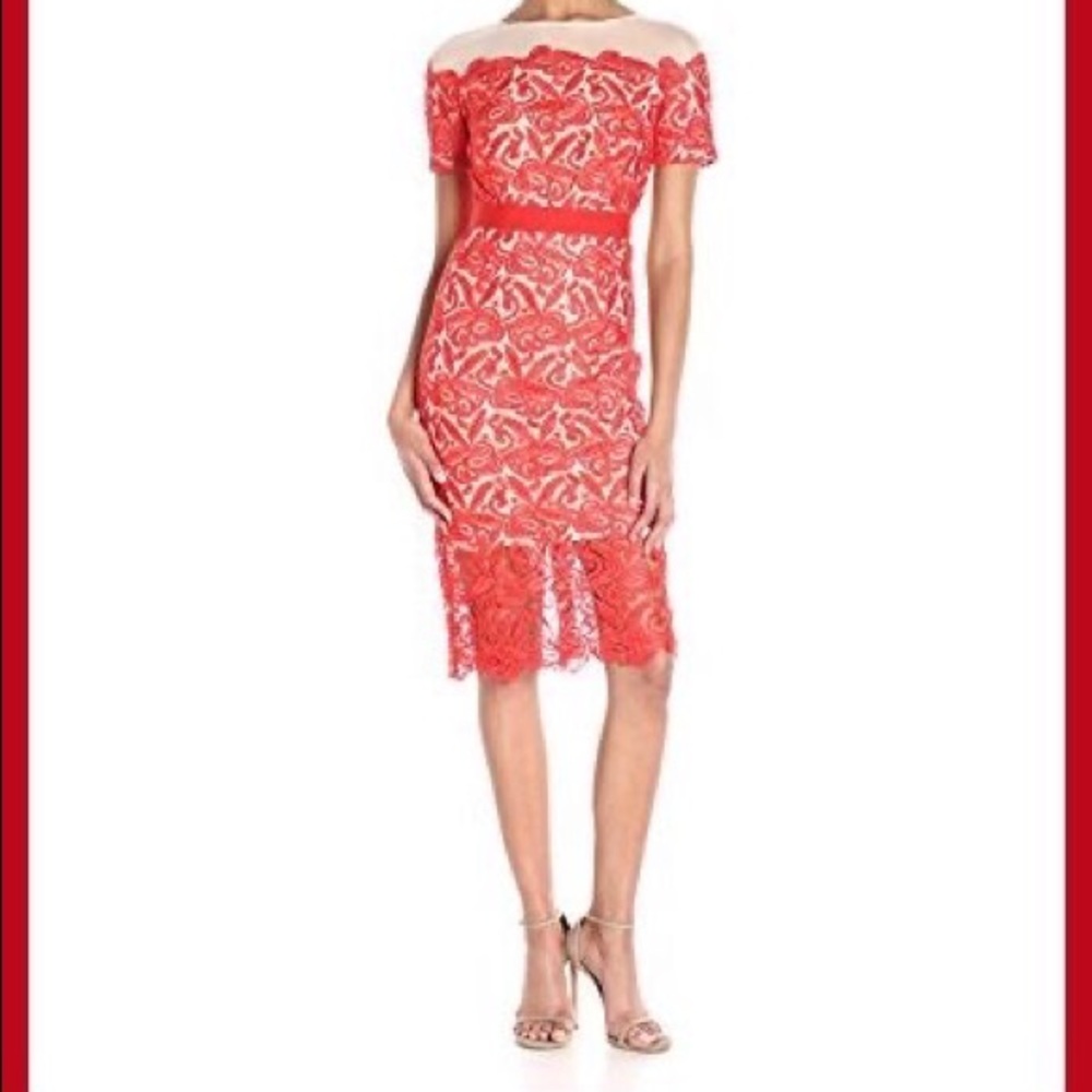 JAX Zinnia illusion lace sheath dress—red